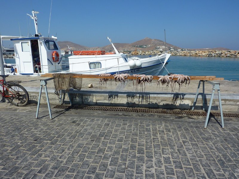 Poulpes séchants au soleil, Paros