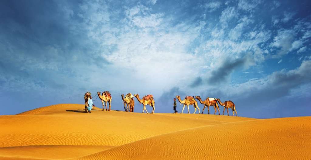 promenade en chameau dans le désert de Dubai