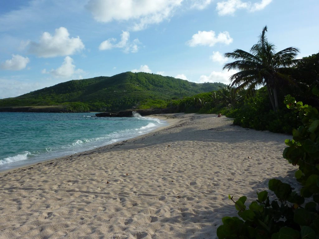 plage martiniquaise