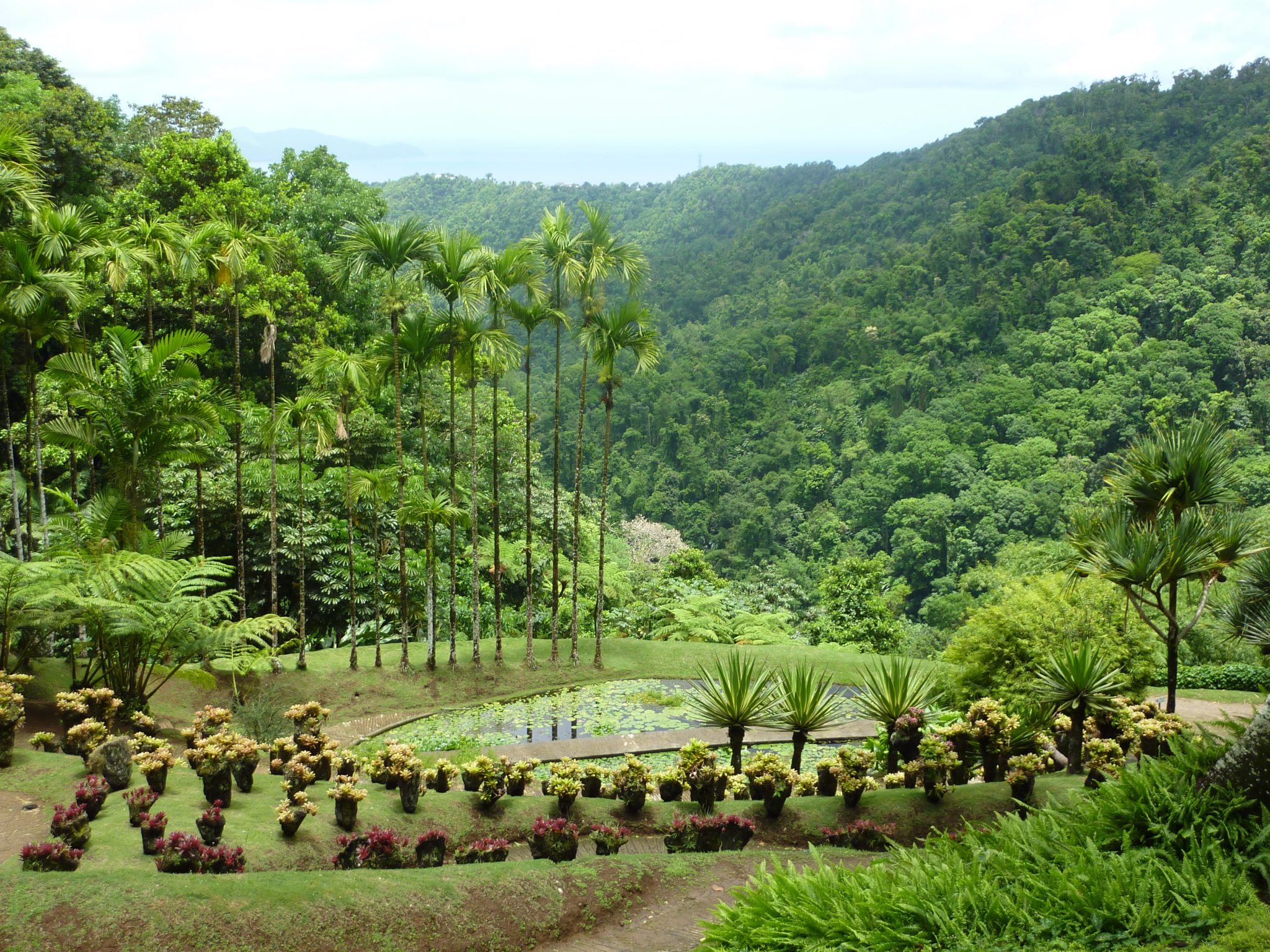 voyage martinique visite