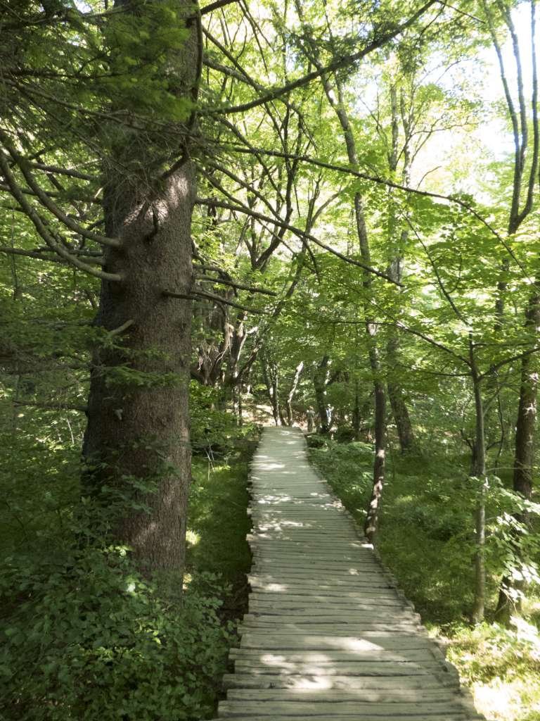Sentier du parc de Plitvice